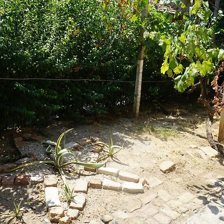 טיראנה Albaniantrip Rooms And Apartments מראה חיצוני תמונה